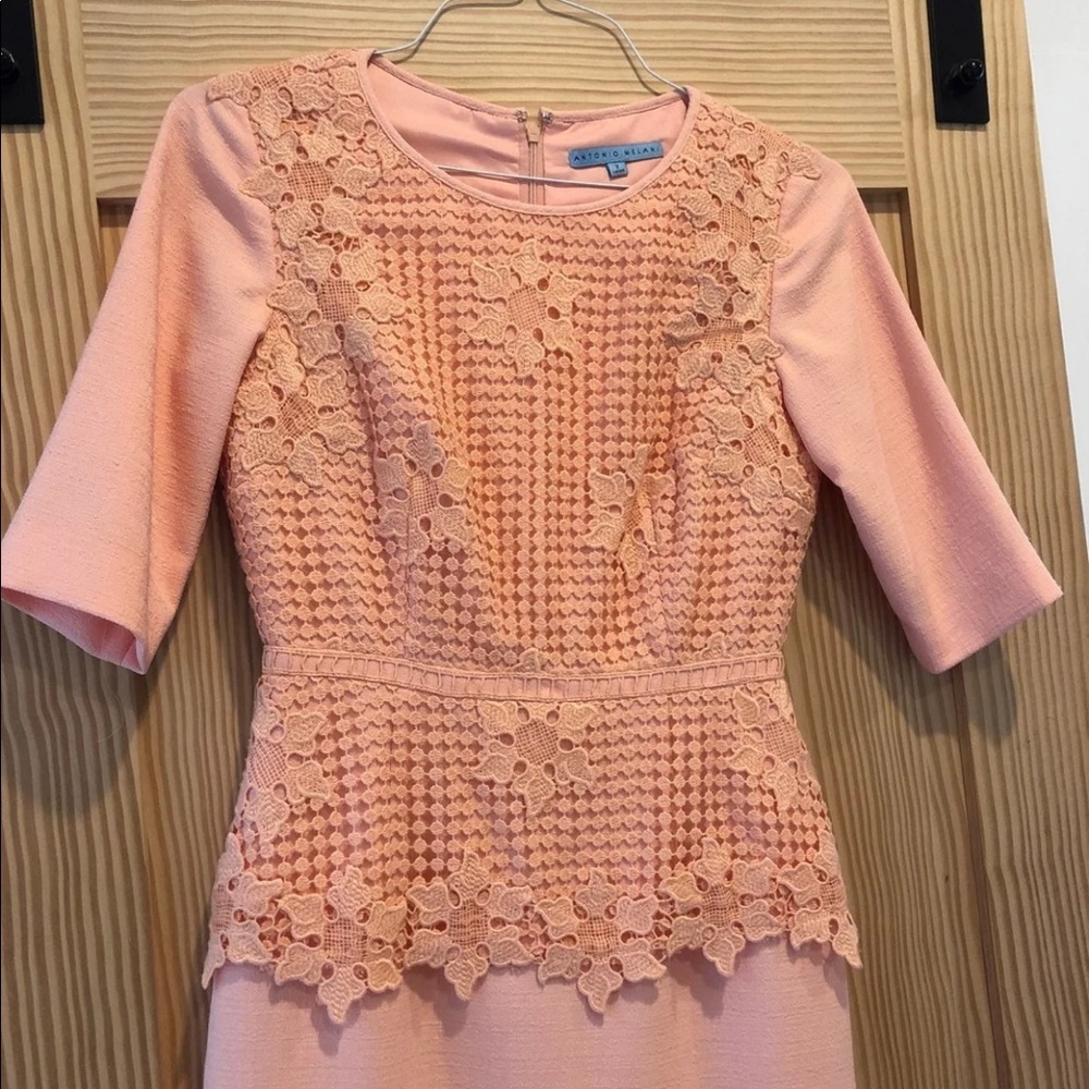 Antonio Melani Dress